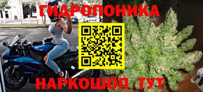 прущие крисы Комсомольск-на-Амуре