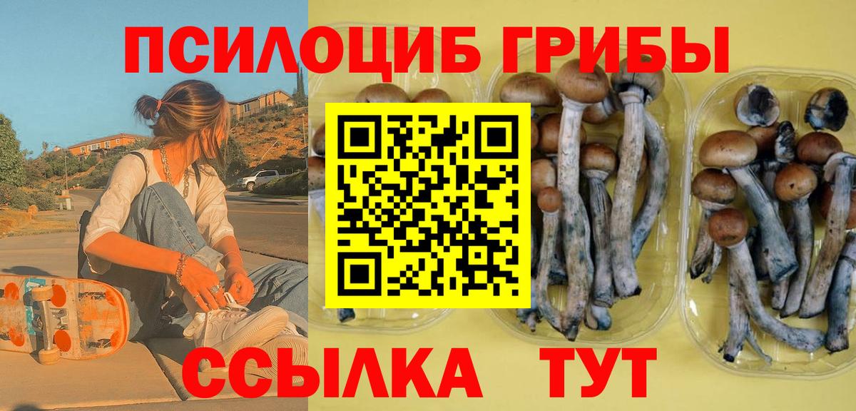 Галлюциногенные грибы Psilocybe  Вход с VPN  Энгельс 